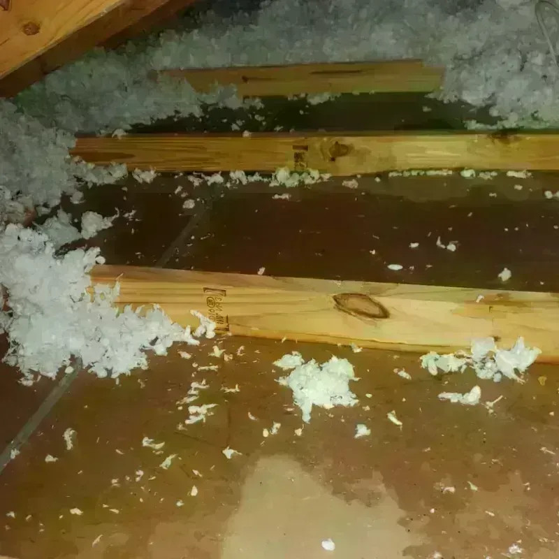 Attic Water Damage in Pierce County, GA