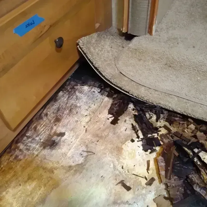 Wood Floor Water Damage in Pierce County, GA